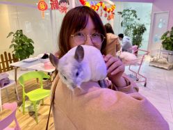 -Moni星球萌宠·小马宝莉·灵蛇·高端高阶全萌宠互动体验俱乐部(红豆国际广场店)