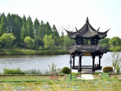 -杭州湾海上花田景区