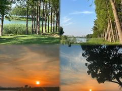 -贡湖湾湿地公园
