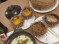 -海胆小馆(东北水饺·春柳店)