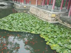 -华清宫景区