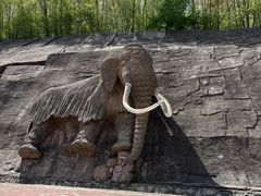 -哈尔滨北方森林动物园