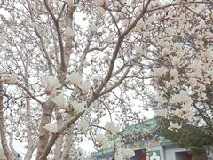 -国家图书馆·古籍馆