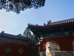 -大觉寺-停车场