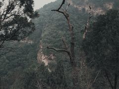 -北京上方山国家森林公园