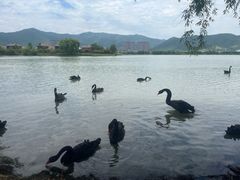 -长兴太湖图影湿地文化园