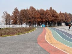 -贡湖湾湿地公园
