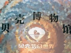 -贝壳梦幻世界