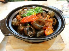 -OLD TREE老树咖啡·西餐厅(台山人工湖店)