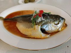 醋浸黄花鱼-铭家点心(秦岭路店)