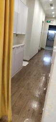 -YESIDO椰岛造型