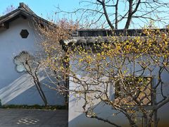 -无锡梅园公园