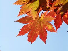 -本溪老边沟风景区