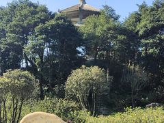 -梧桐山风景名胜区