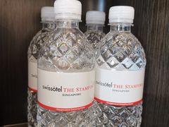 -新加坡瑞士史丹福酒店