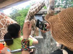 -清迈夜间动物园