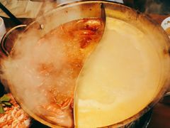 花胶鸡锅-捞围鲜·港式打边炉(海阳路店)