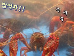 -寻虾记(小寨店)