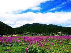 -丽江花间堂·隐泉院