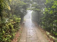 -鼓岭旅游度假区