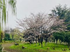 -堤角公园