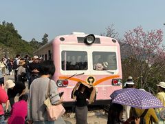 -小南山公园