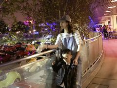 -加州迪士尼乐园