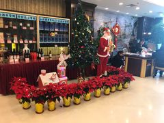 -紫阳富豪大酒店(惠南店)