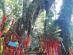 -七仙岭温泉国家森林公园