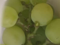 -马陆小张葡萄园农家乐