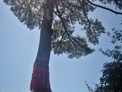 -秦岭终南山世界地质公园翠华山景区