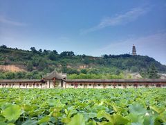 -渭南桃花源民俗文化园