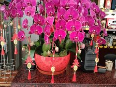 -全聚德烤鸭店(马家堡店)