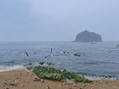 -棒棰岛宾馆景区