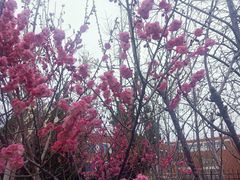 -山东外贸职业学院