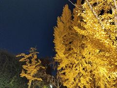 -郑州植物园