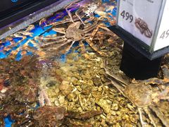 -盒马鲜生(岭南新世界店)