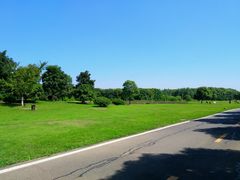 android_upload_pic-艾溪湖湿地公园