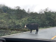 -石棉县孟获城