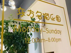 -东方名猫馆·英短金渐层布偶猫舍(环线广场1号楼店)