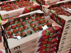 -麦德龙(郑东店)