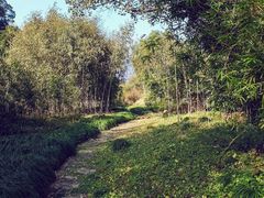 -黄公望隐居地
