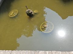 -南阳卧龙岗武侯祠