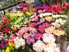 -双季花艺园艺市场(浦东店)