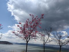 -大理洱海