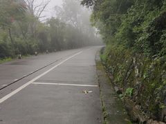 -窦圌山风景区
