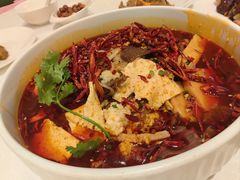 -洋洋中餐馆·SINCE 1997(龙湖星湖天街店)