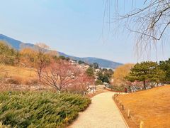 -北京西山国家森林公园