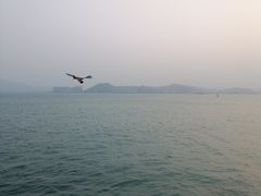 -演武大桥观景平台