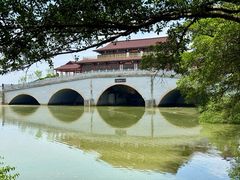 -大湾区中央湿地公园
